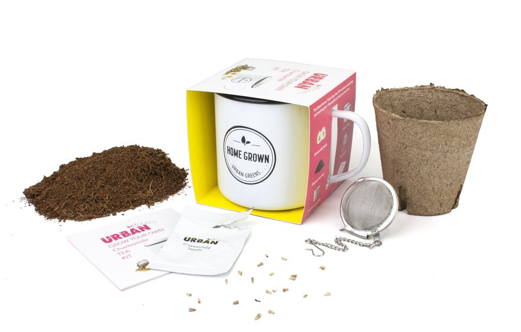 Chamomile - Grow Your Own Tea