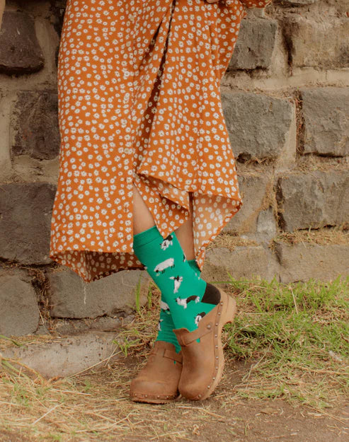 Women's Socks - Single Pair - Size 2-8 (various styles)
