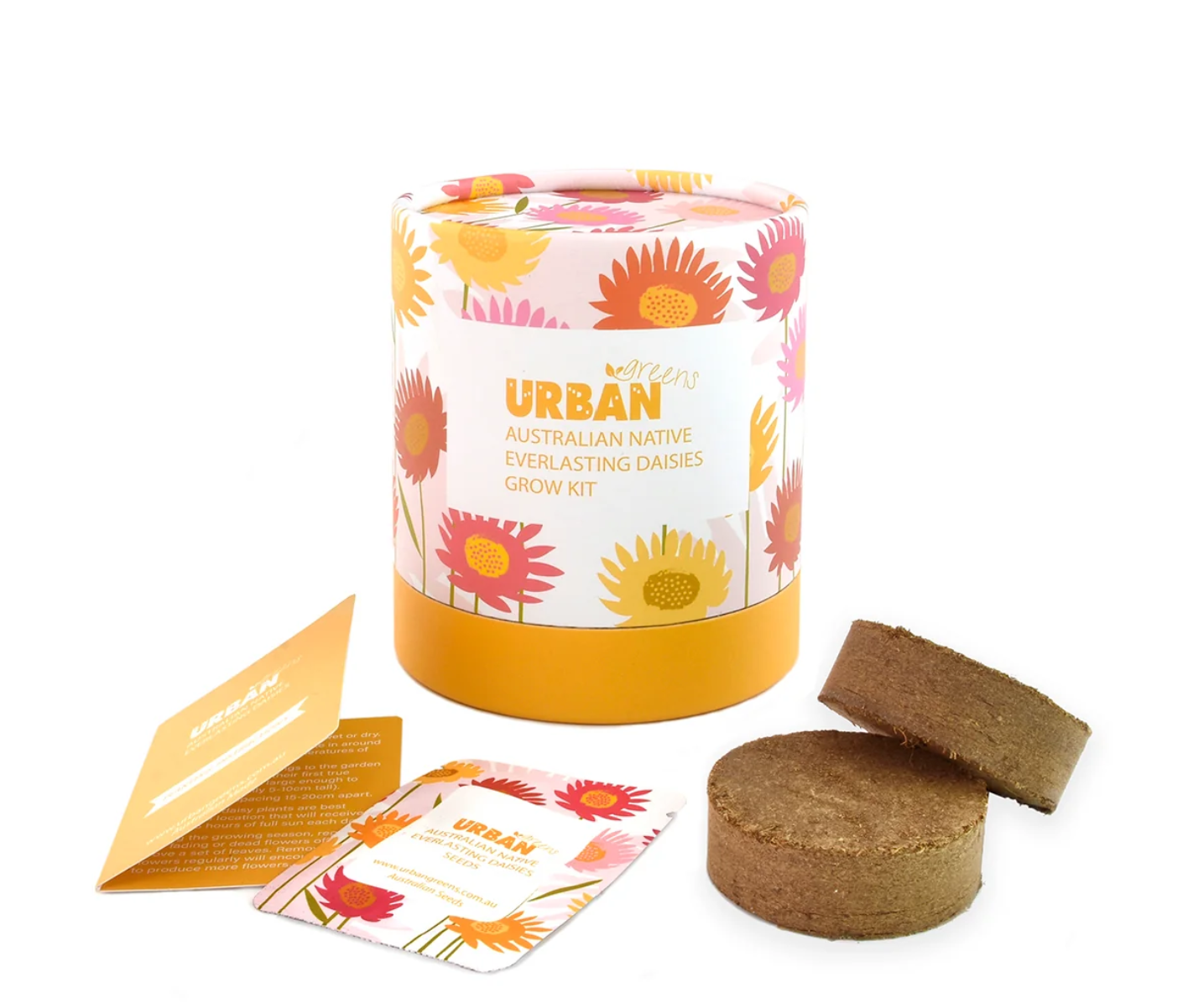 Everlasting Daisies Grow Kit