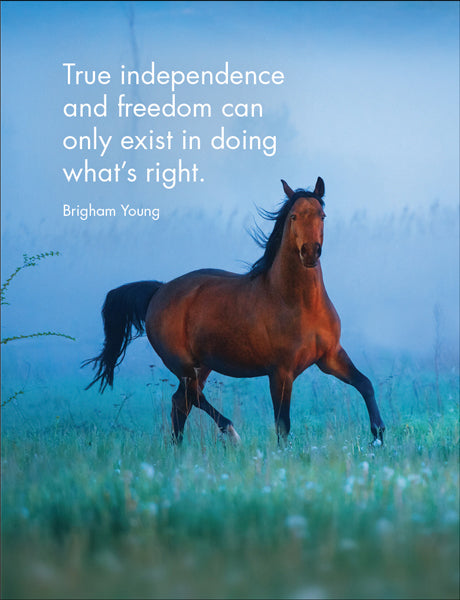 Horse Sense - 24 little affirmation cards + stand