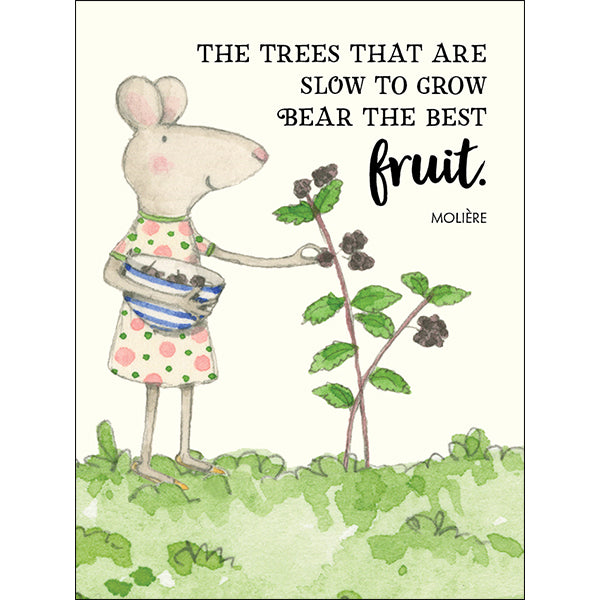 Seeds of Truth - Twigseeds 24 affirmation cards + stand