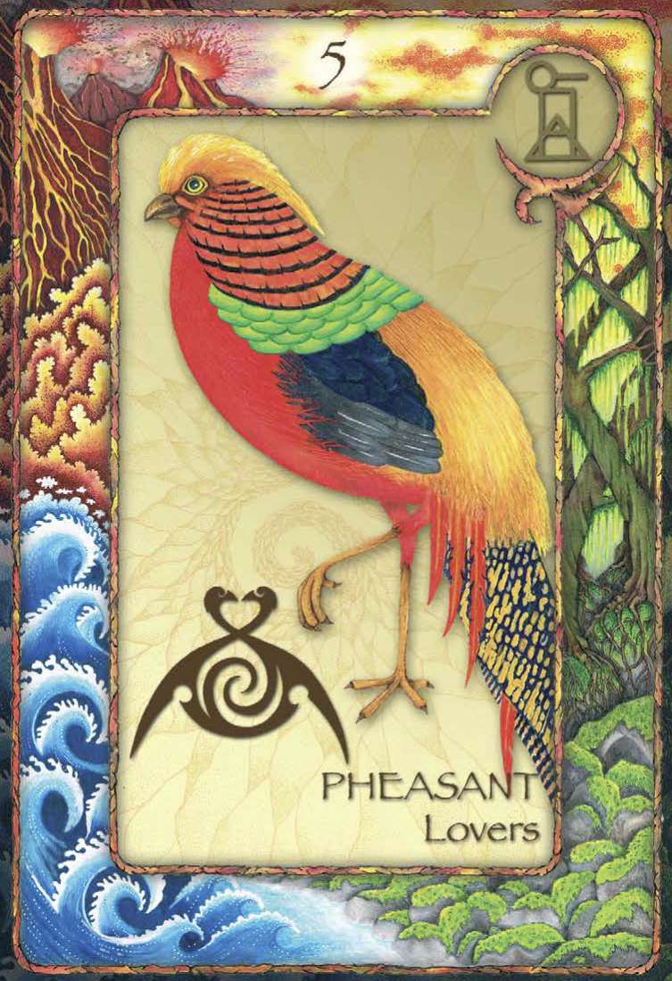 World Animal Dreaming Oracle Cards - Scott Alexander King