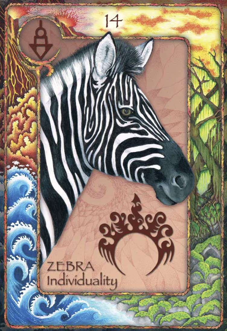 World Animal Dreaming Oracle Cards - Scott Alexander King