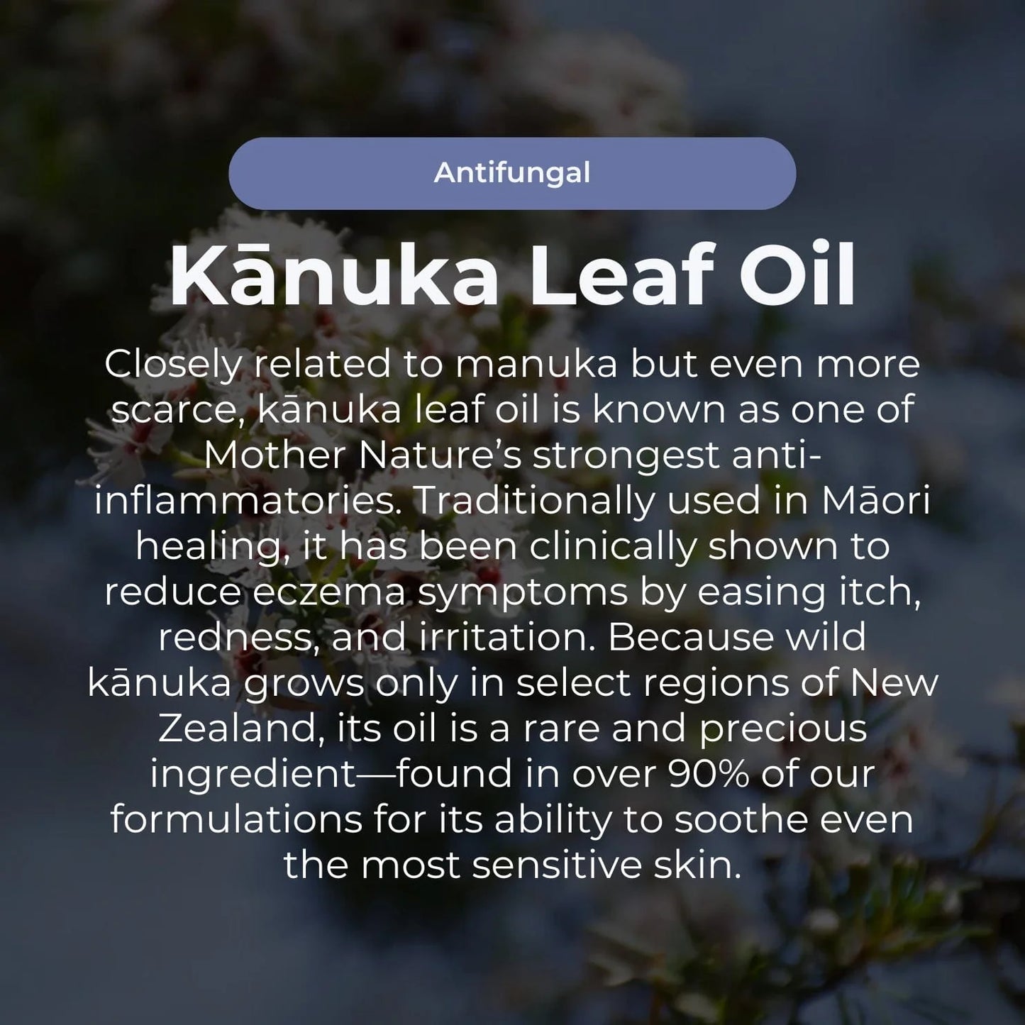 Sven's Island Miracle Manuka Skin Repair Ointment