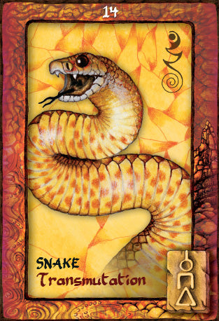 Animal Dreaming Oracle Cards - Scott Alexander King