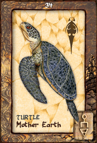 Animal Dreaming Oracle Cards - Scott Alexander King