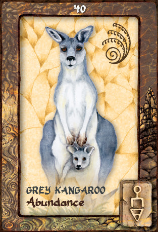 Animal Dreaming Oracle Cards - Scott Alexander King