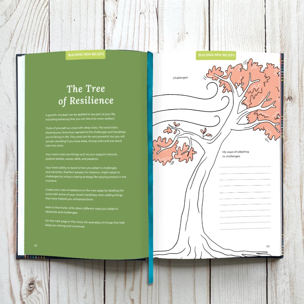 Big Life Journal - for Adults