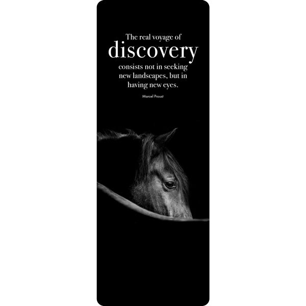 Bookmark: Discovery