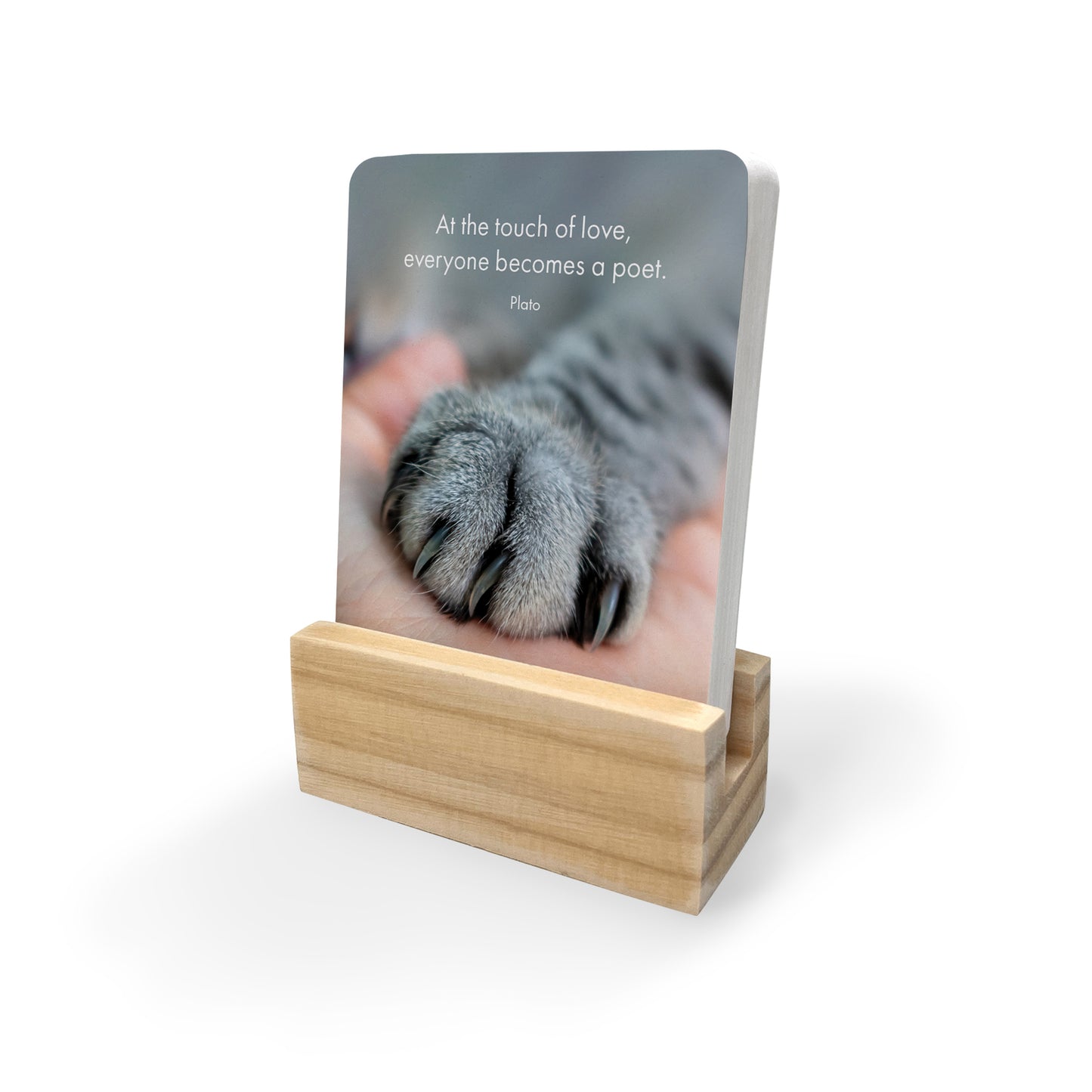 The Great Catsby - 24 little affirmation cards + stand