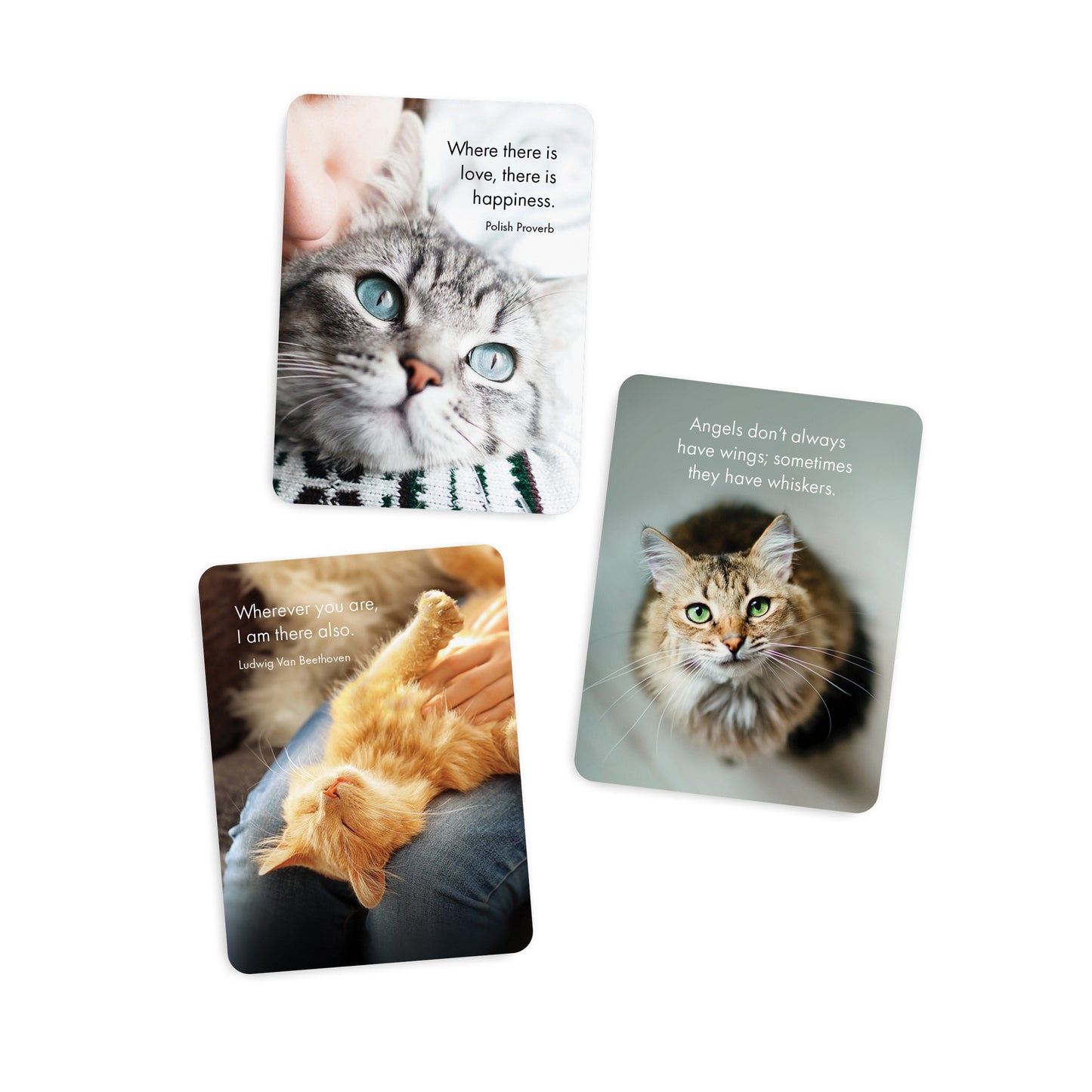 The Great Catsby - 24 little affirmation cards + stand