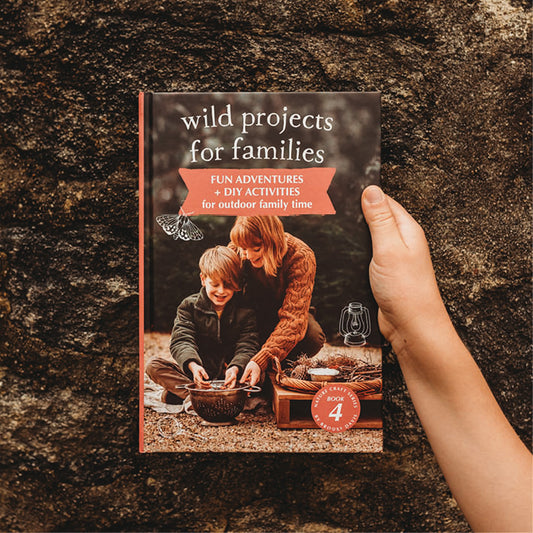 Wild Projects for Families by Brooke Davis (Nature Craft Series Book 4)