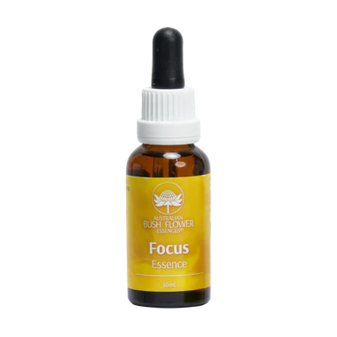 Focus Essence