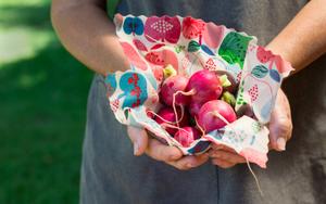 Reusable Beeswax Wrap - 4 pack