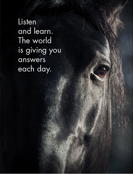 Horse Sense - 24 little affirmation cards + stand