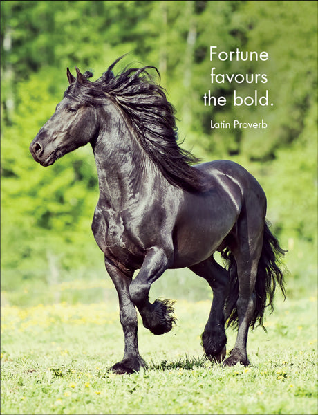 Horse Sense - 24 little affirmation cards + stand