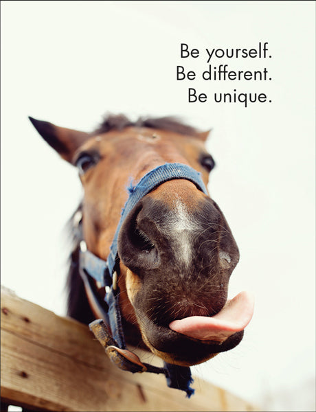 Horse Sense - 24 little affirmation cards + stand