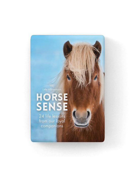 Horse Sense - 24 little affirmation cards + stand