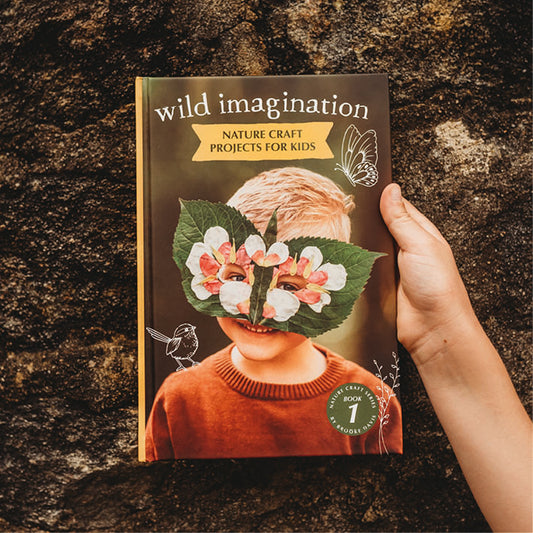 Wild Imagination by Brooke Davis (Nature Craft Series Book 1)