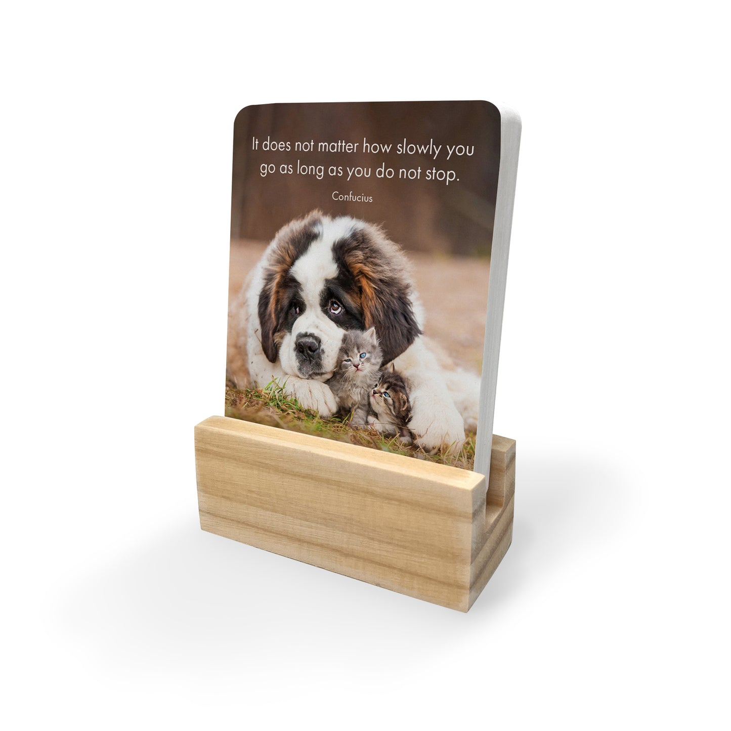 Little Paws - 24 little affirmation cards + stand