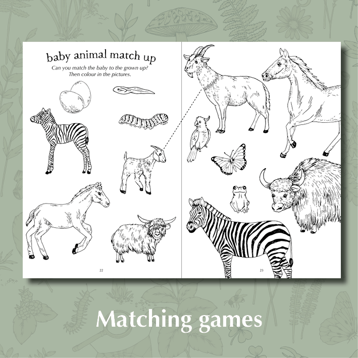 My First Wild Activity Book