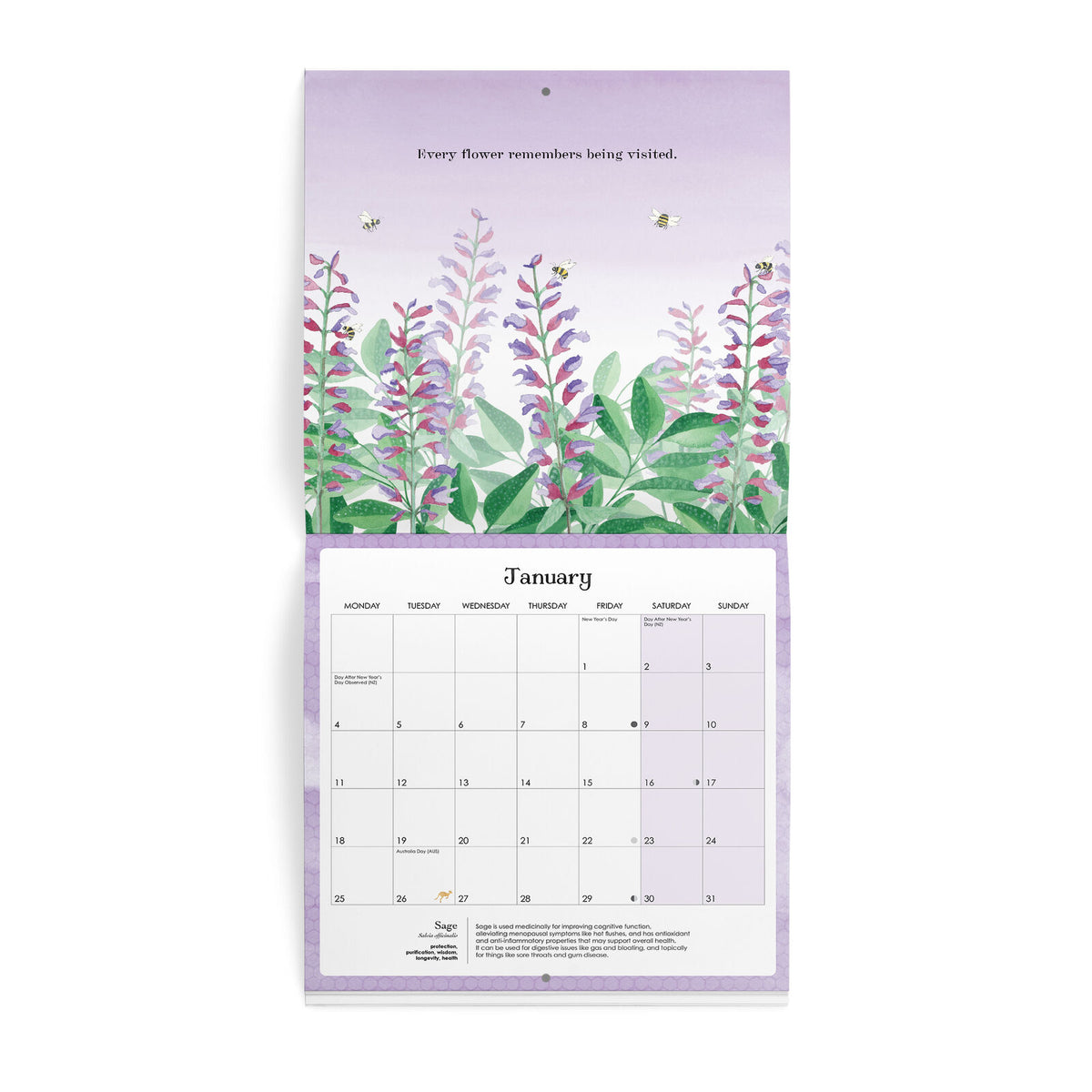 2027 Nature Wall Calendar - Cottonwood Studio