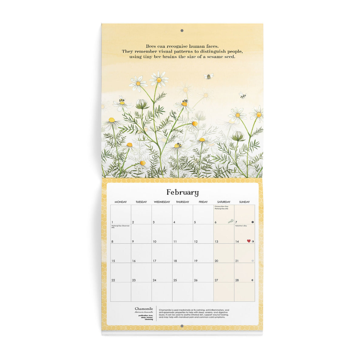 2027 Nature Wall Calendar - Cottonwood Studio
