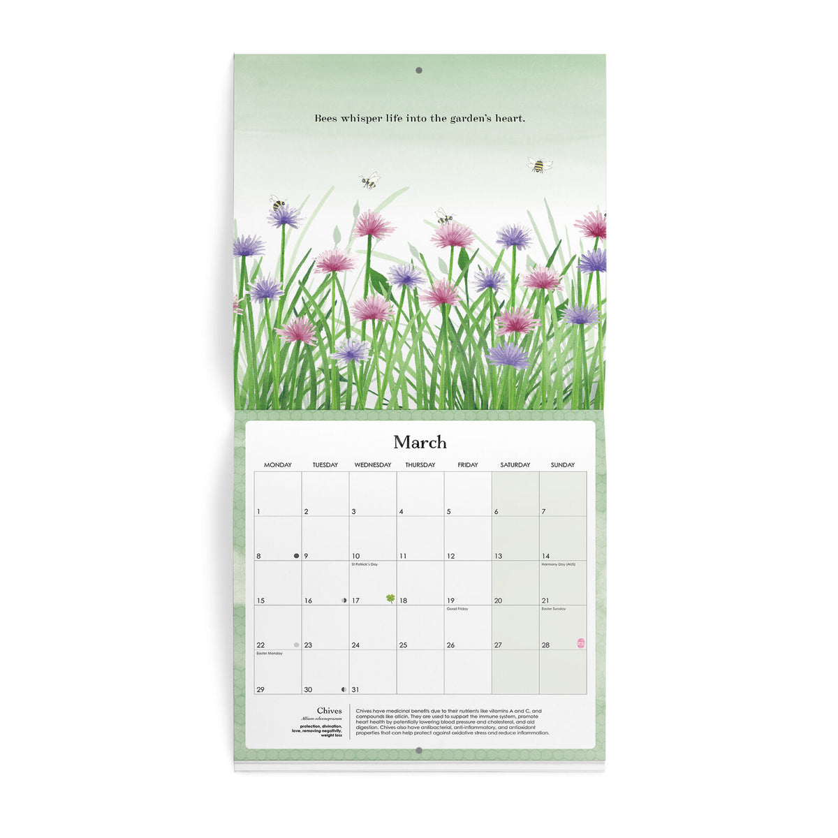 2027 Nature Wall Calendar - Cottonwood Studio