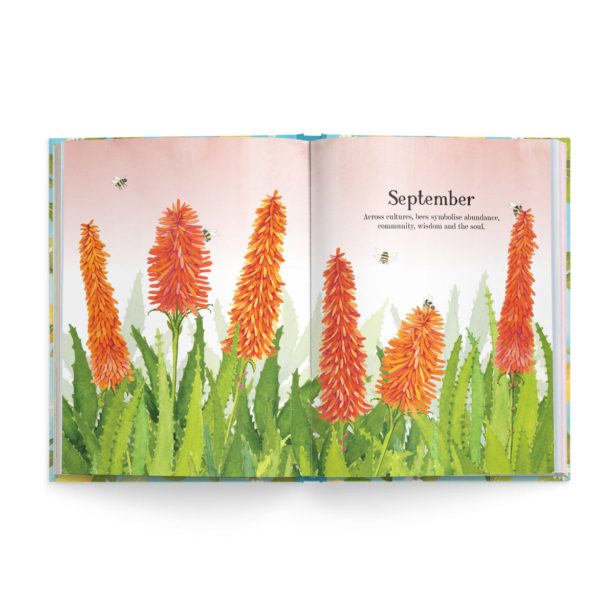 2027 Nature Diary - Cottonwood Studio
