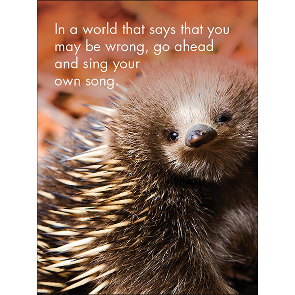You're One of a Kind - 24 little affirmation cards + stand