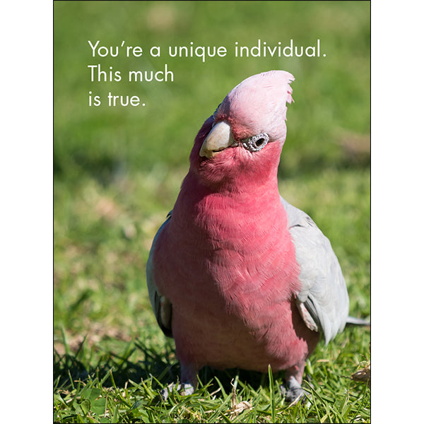 You're One of a Kind - 24 little affirmation cards + stand