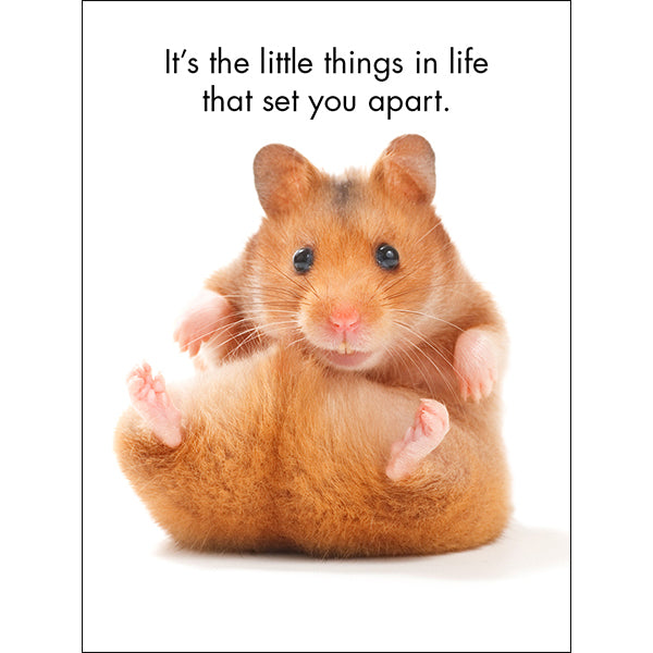 You're One of a Kind - 24 little affirmation cards + stand