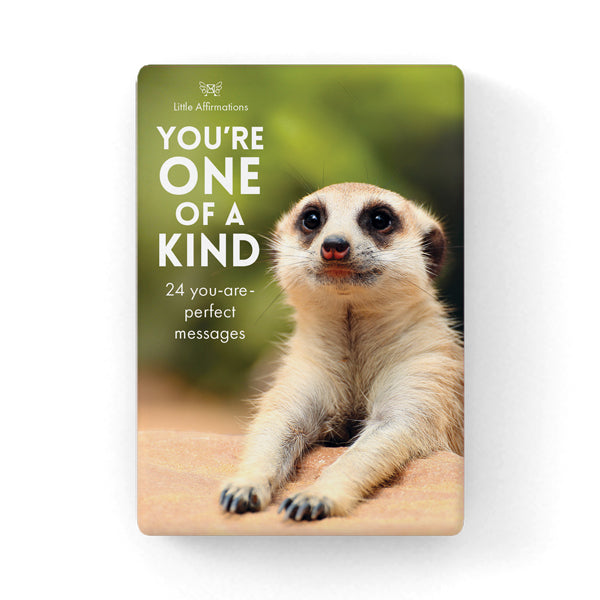 You're One of a Kind - 24 little affirmation cards + stand