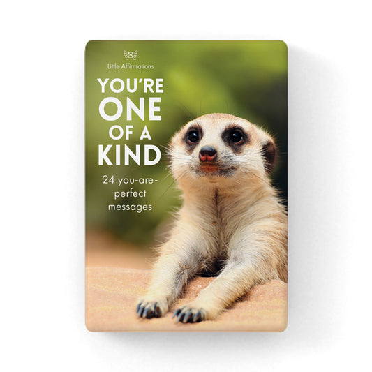 You're One of a Kind - 24 little affirmation cards + stand