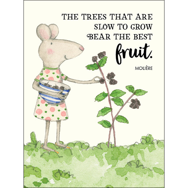 Seeds of Truth - Twigseeds 24 affirmation cards + stand