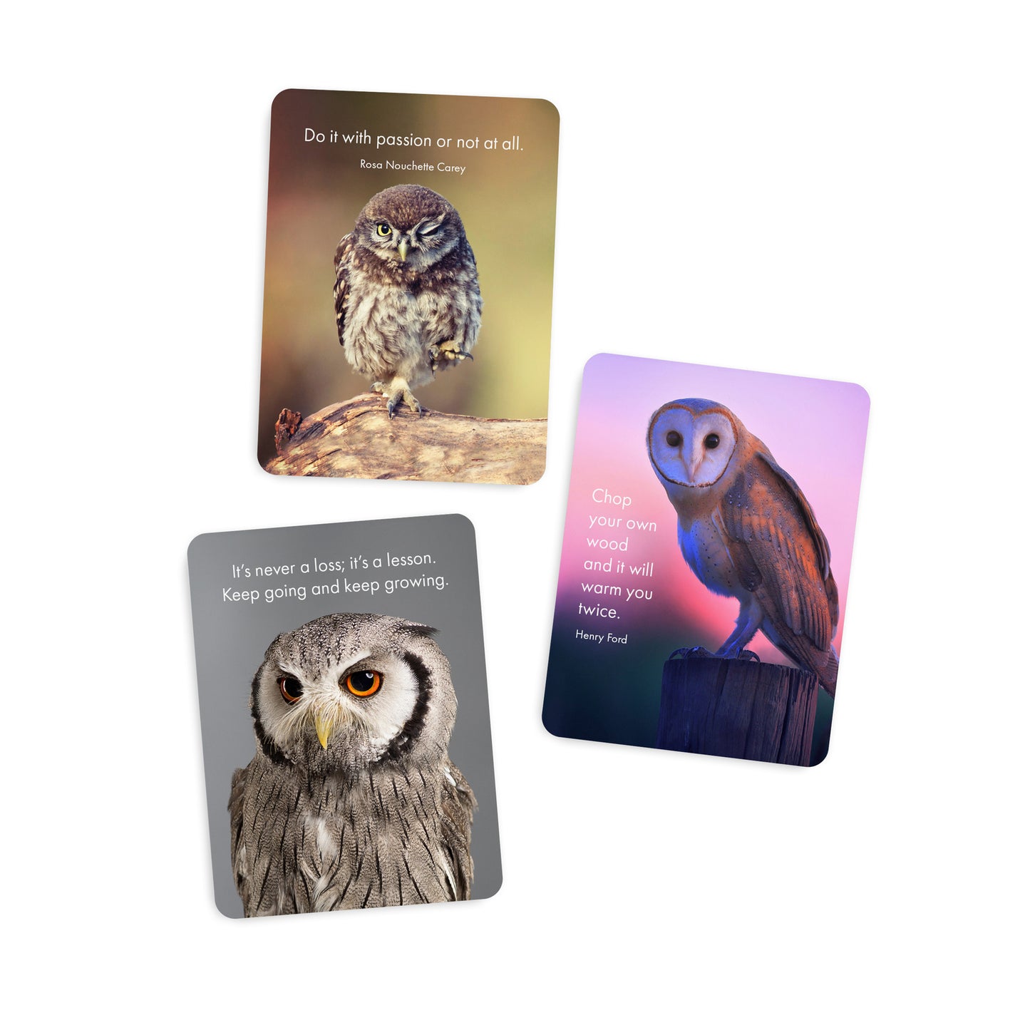 Words of Wisdom - 24 little affirmation cards + stand