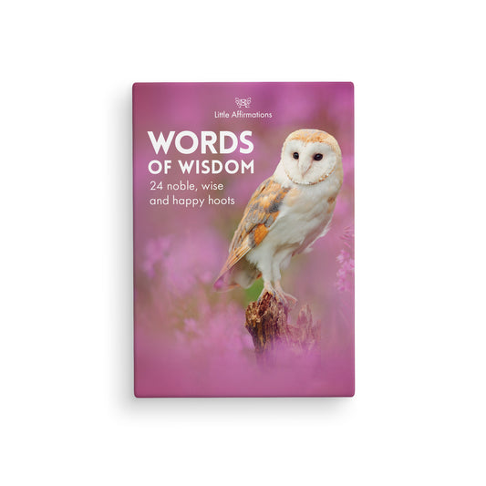Words of Wisdom - 24 little affirmation cards + stand