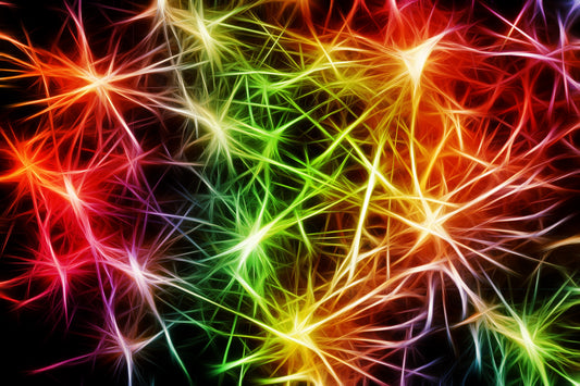 Spinal Flow - 45 minutes - 4 session package ($115 each)
