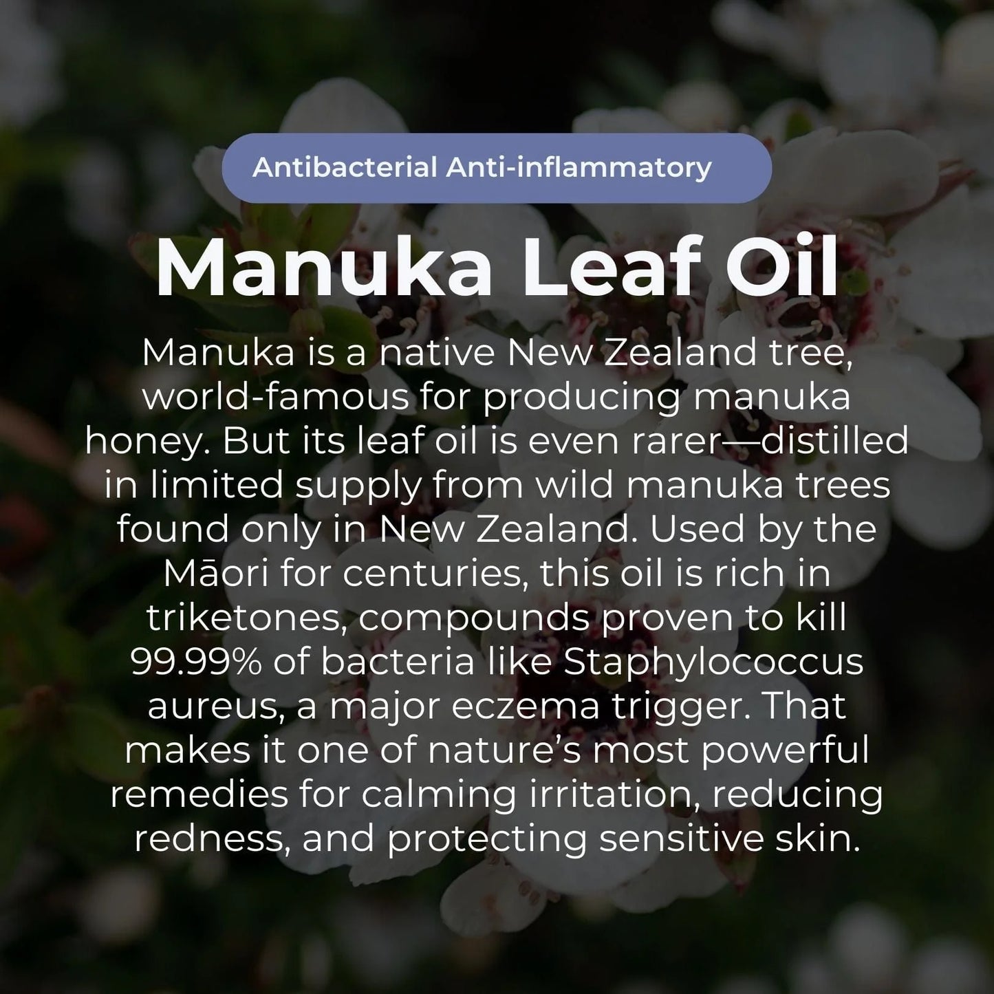 Sven's Island Miracle Manuka Skin Repair Ointment